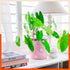 RUI Hanging Metal Pot Holders / Planters for Home / Balcony / Garden | Red - Set of 5
